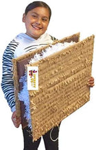 Load image into Gallery viewer, Smores Pinata Camping Lumberjack Theme Party Favor