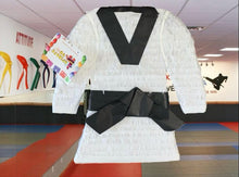 Load image into Gallery viewer, 20” Tall Martial Arts Pinata Karate Tae Kwon Do Birthday Pinata