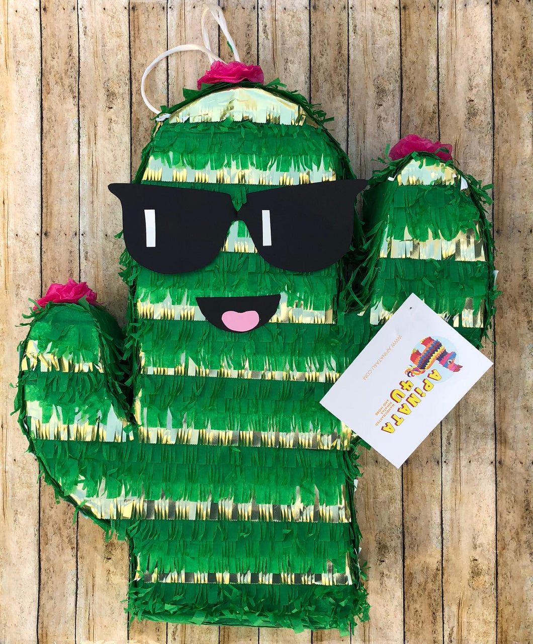 Summer Fiesta Pinata Cactus Pinata